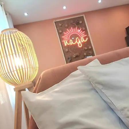 Apartamento Le Naga - Confortable Avec Vue Sur La Cathedrale